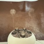 Essential Oil Diffuser 250ML Dancing Jellyfish Aromatherapy Diffuser Humidifier with 7 Colors LED Lights.Remote Control.Plug in for Bedroom.Office (White)