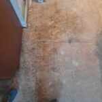 RMR-86 Instant Mold and Mildew Stain Remover Spray