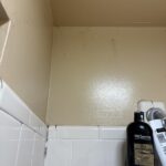 RMR-86 Instant Mold and Mildew Stain Remover Spray