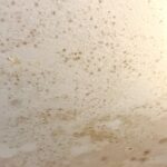 RMR-86 Instant Mold and Mildew Stain Remover Spray