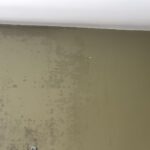RMR-86 Instant Mold and Mildew Stain Remover Spray