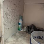 RMR-86 Instant Mold and Mildew Stain Remover Spray