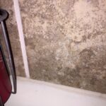 RMR-86 Instant Mold and Mildew Stain Remover Spray