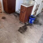 RMR-86 Instant Mold and Mildew Stain Remover Spray