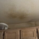 TUYU 8-in-1 Cordless Electric Spin Scrubber