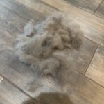ChomChom Pet Hair Remover
