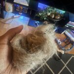 ChomChom Pet Hair Remover