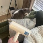 ChomChom Pet Hair Remover