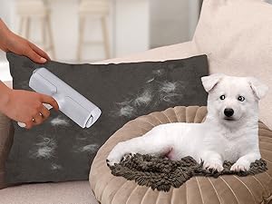 ChomChom Pet Hair Remover